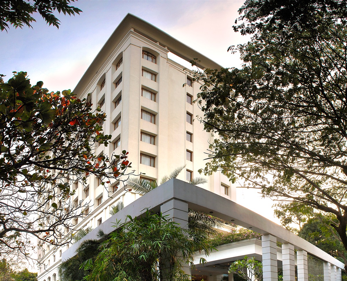 The Raintree
